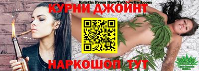 молекула духа Будённовск