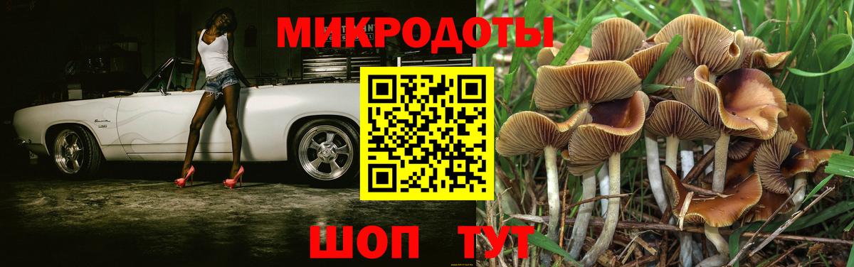 Псилоцибиновые грибы Psilocybine cubensis  Вход с VPN  Феодосия 